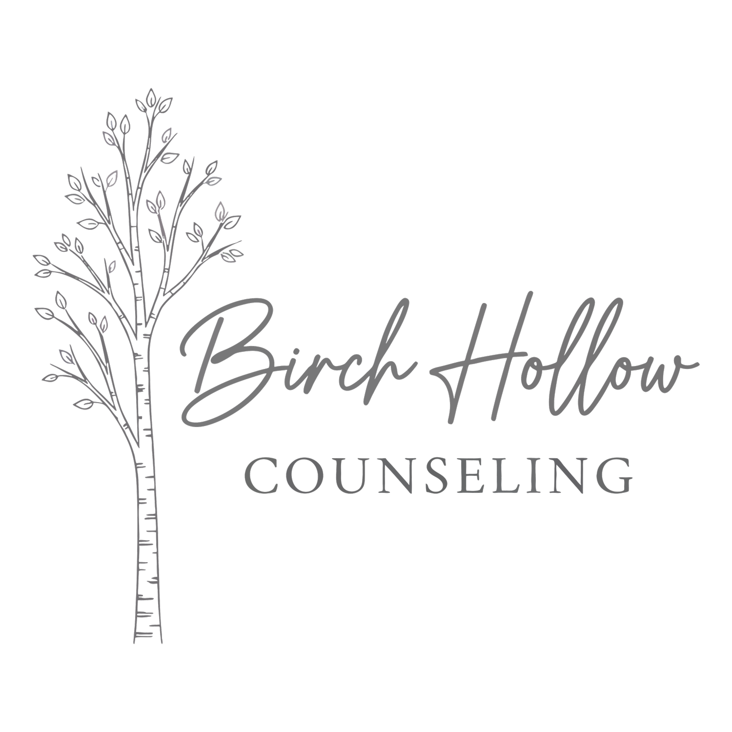 Birch Hollow Counseling