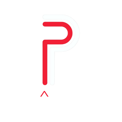 Party Professional Disc Jockey's