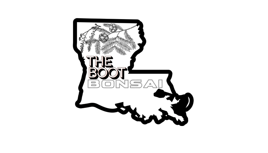 The boot bonsai