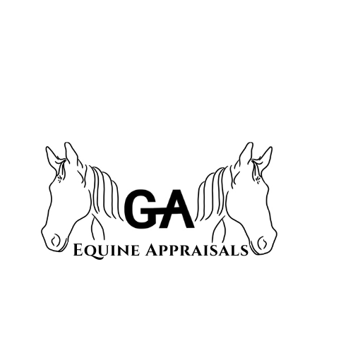 GA Equine Appraisals