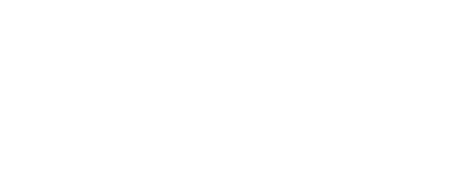 Mang Consulting Services