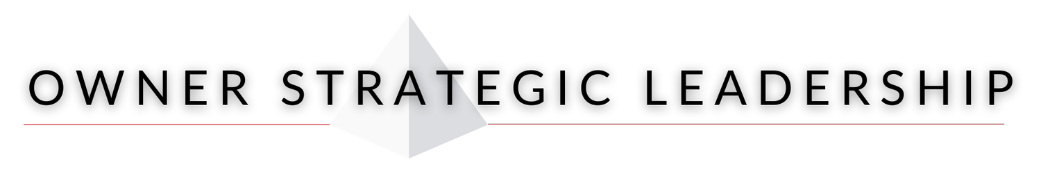 Owner Strategic Leadership