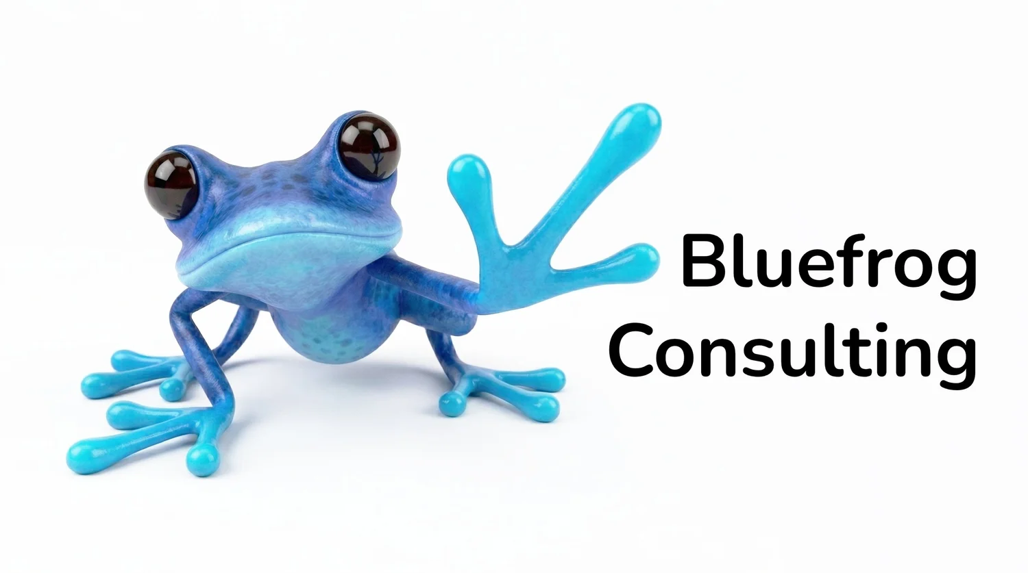 Blue Frog Consulting