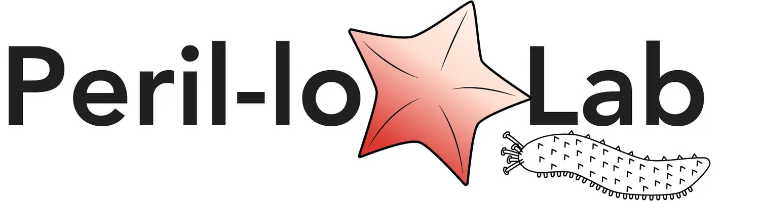 Il titolo del tuo sito