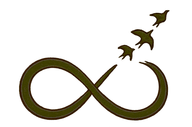 The Navīna Collective