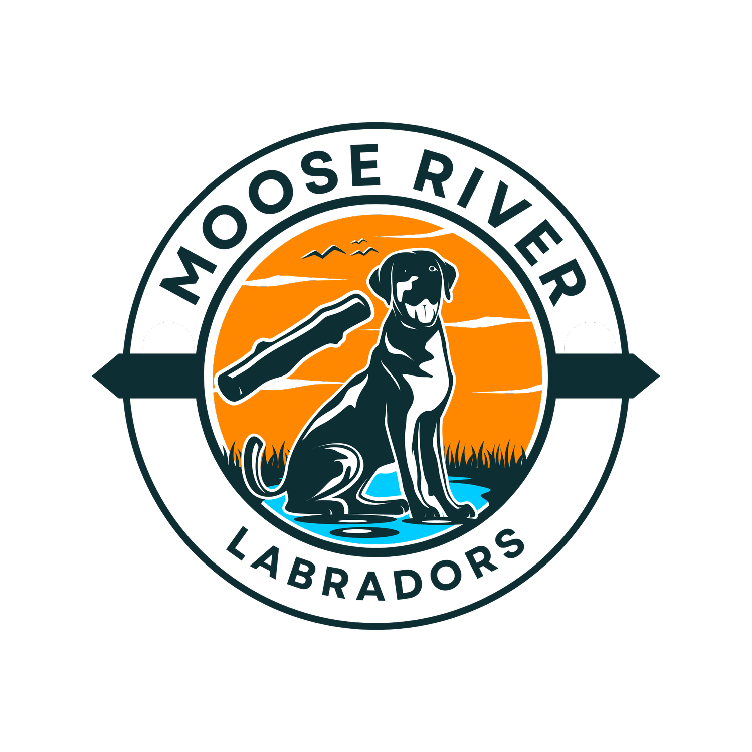 Moose River Labradors