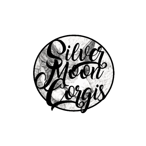 Silvermoon Cardigan Corgis