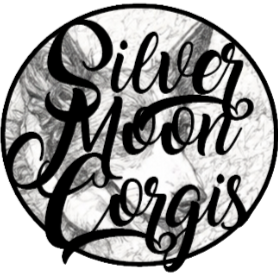Silvermoon Cardigan Corgis