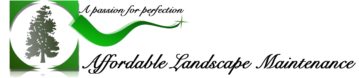 Affordable landscape maintenance service photo 2