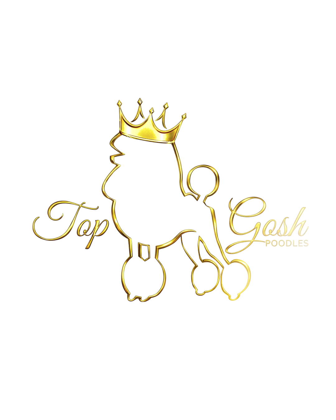 Top Gosh Poodles