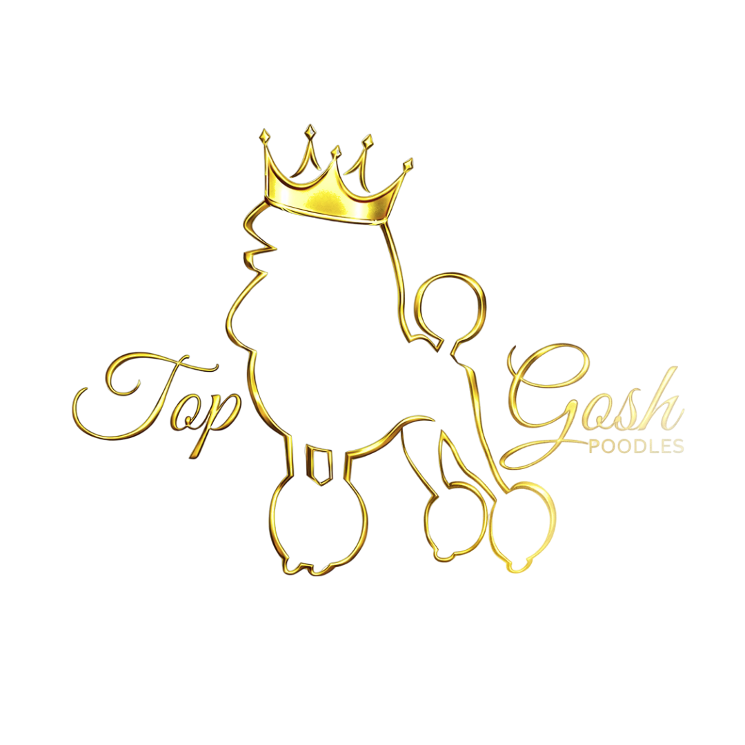 Top Gosh Poodles