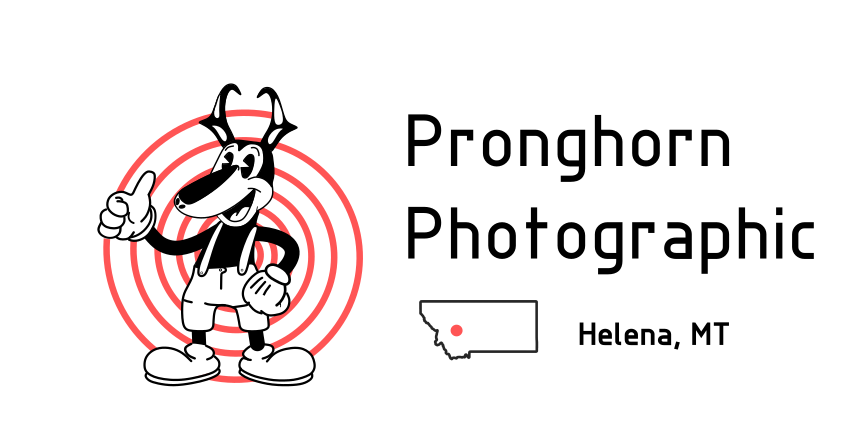 Pronghorn Photographic