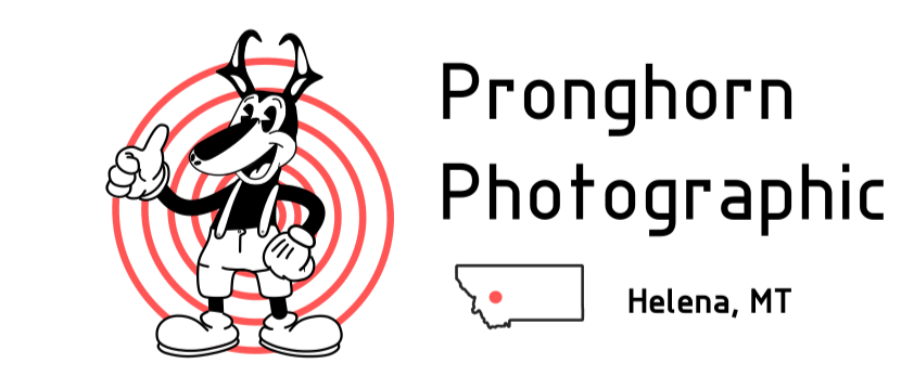 Pronghorn Photographic