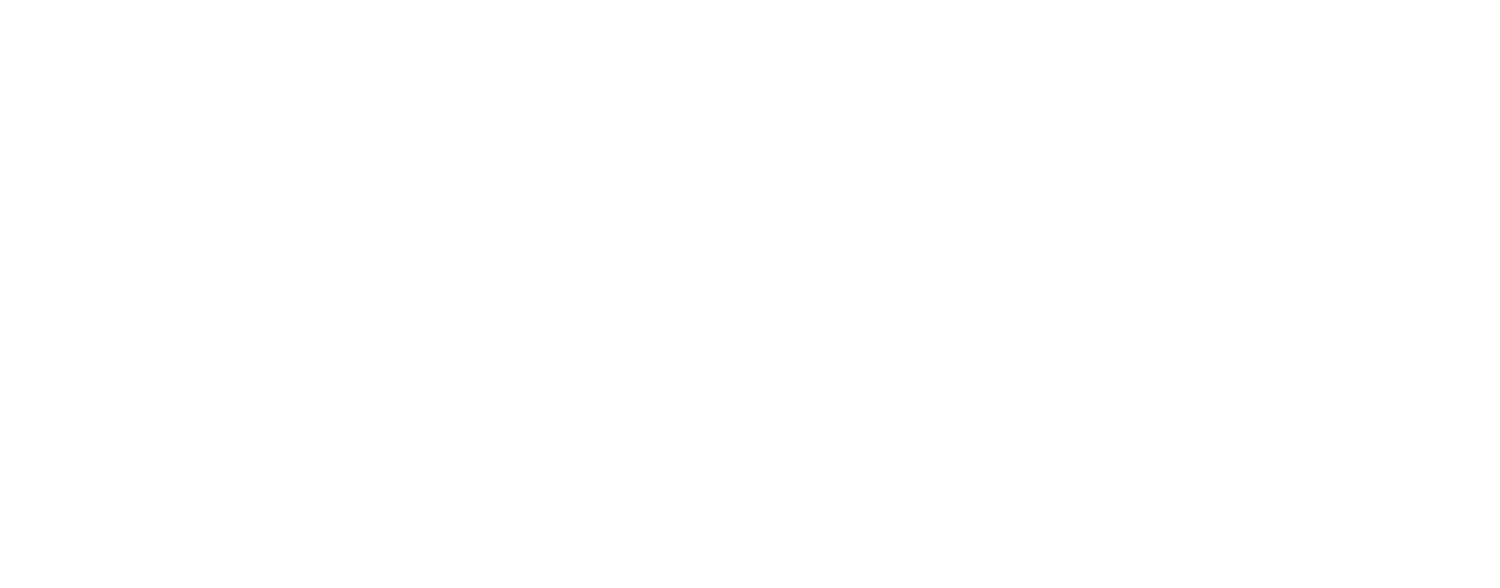Logo ina beauty