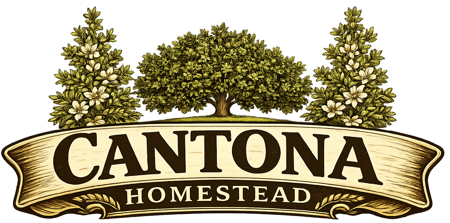 Cantona Homestead