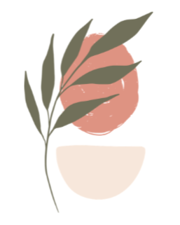 Skin Therapy Facial Studio