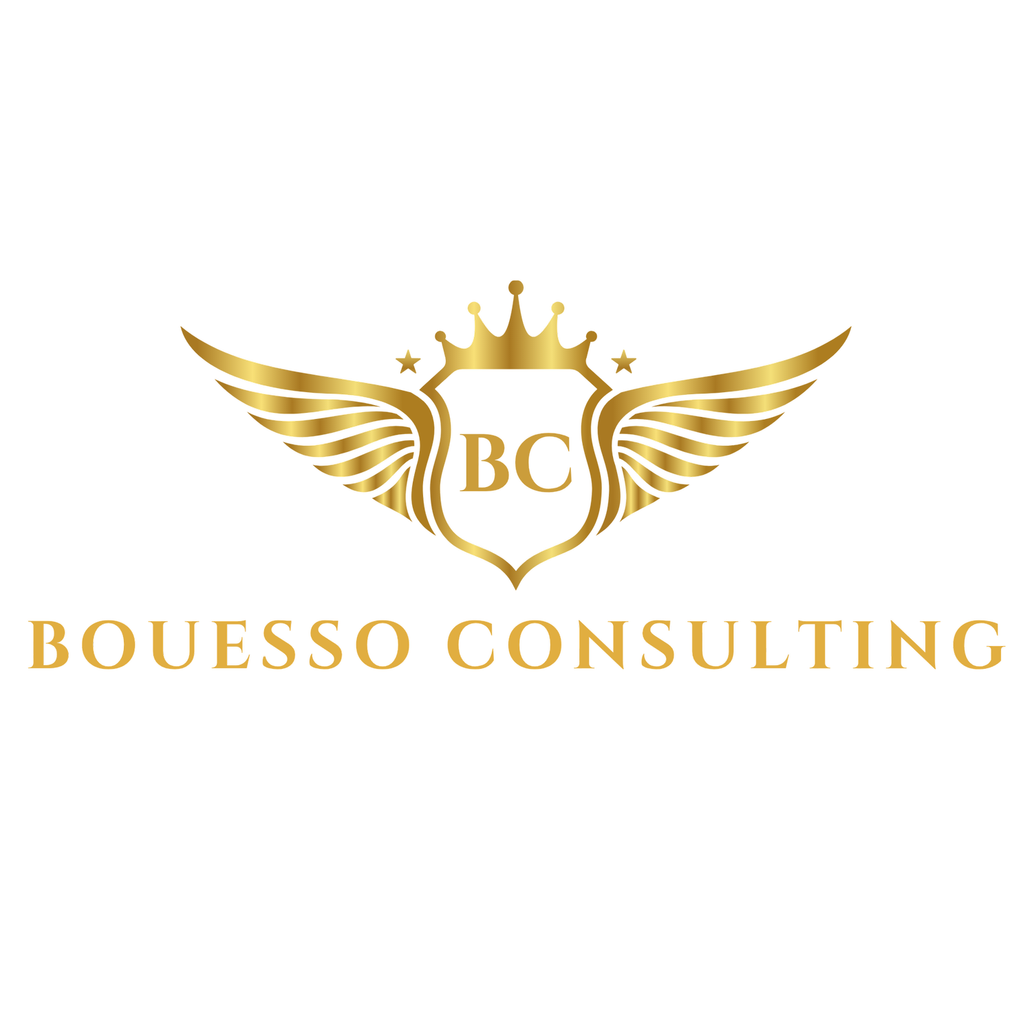 Bouesso Consulting
