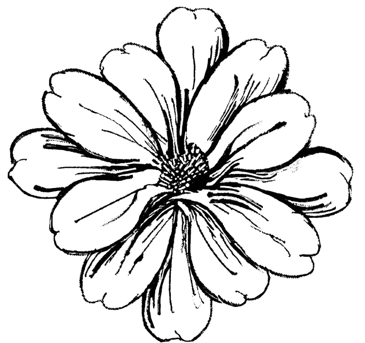 Petal of Metal