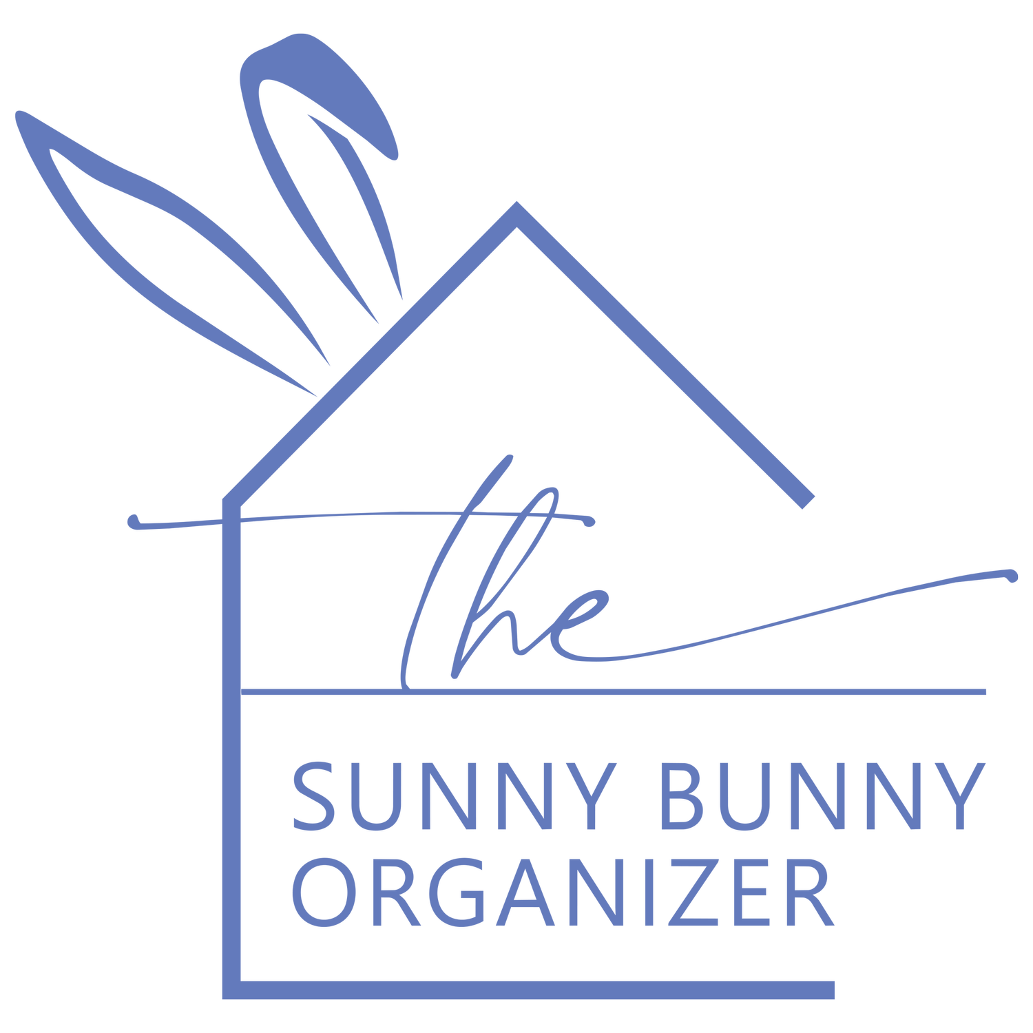 THE SUNNY BUNNY ORGANIZER