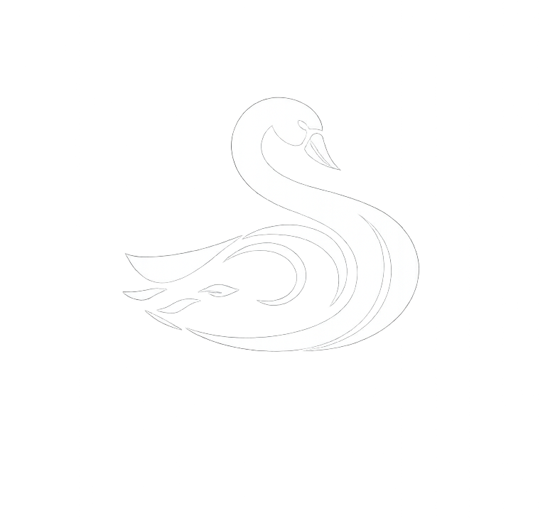 Hansa