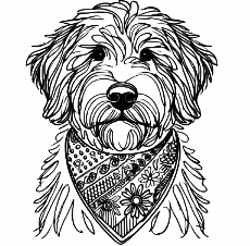 Wistful Vista Bernedoodles