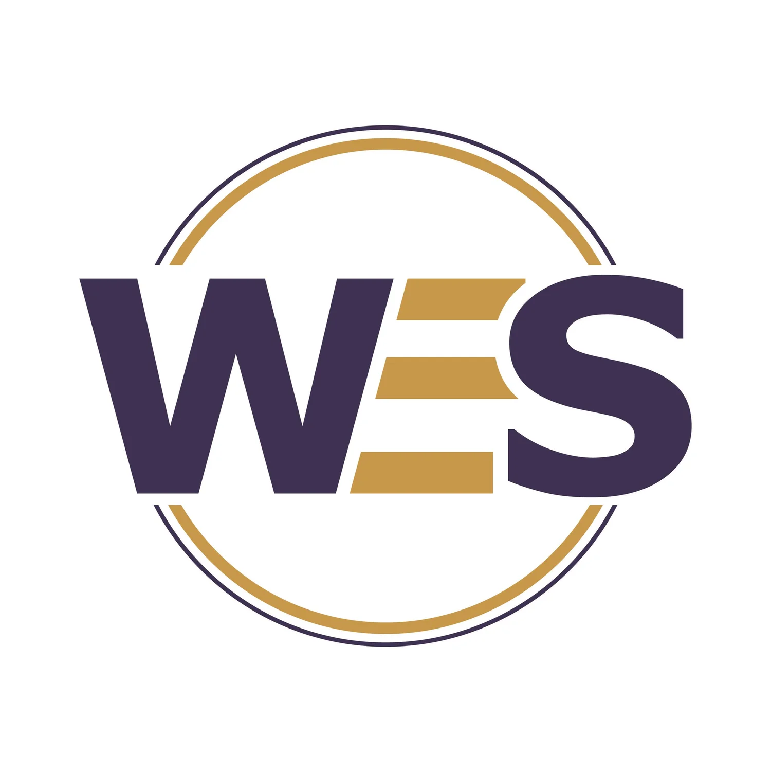 Witter Enterprise Solutions | Finance Infrastructure & Strategic Advisory