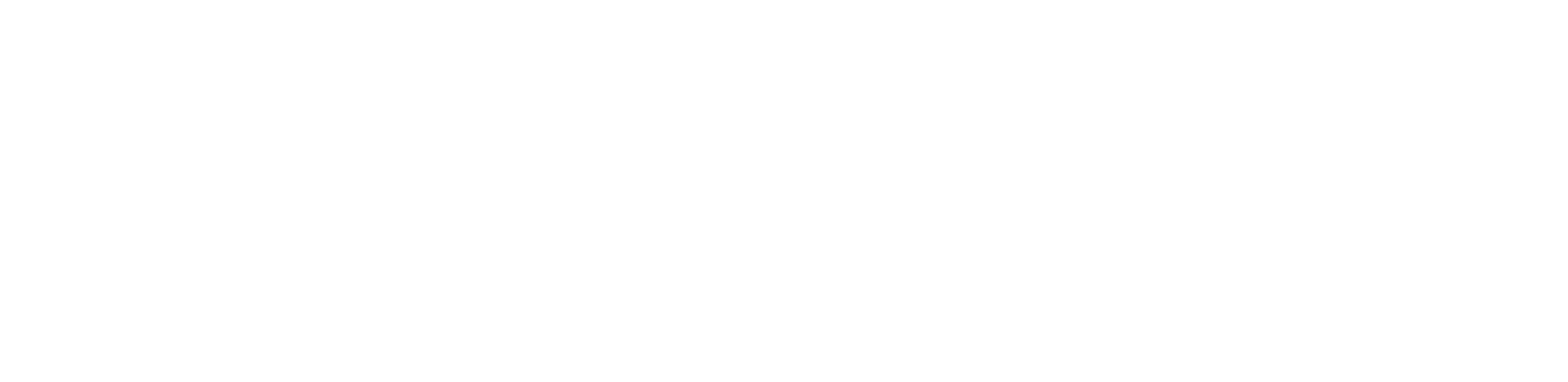 Tunisia Morrison for NY Assembly