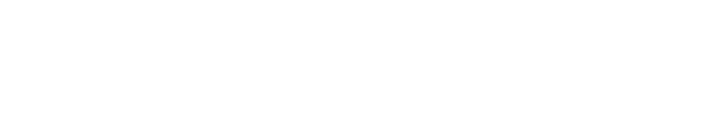 THE WILDIST   x  Fer Richaud