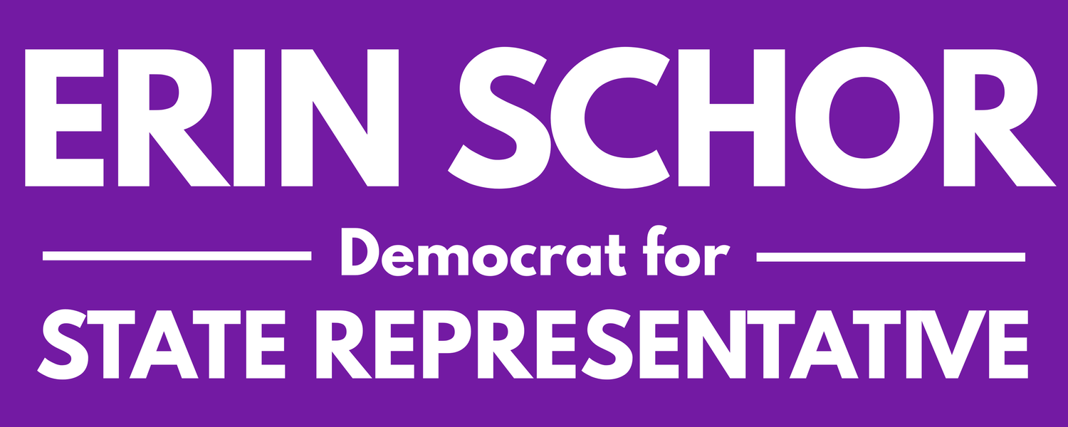 Erin Schor Democrat for State Representative