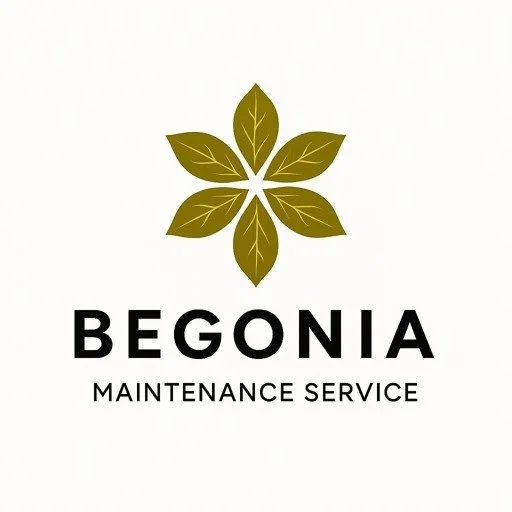 Begonia Maintenance Service
