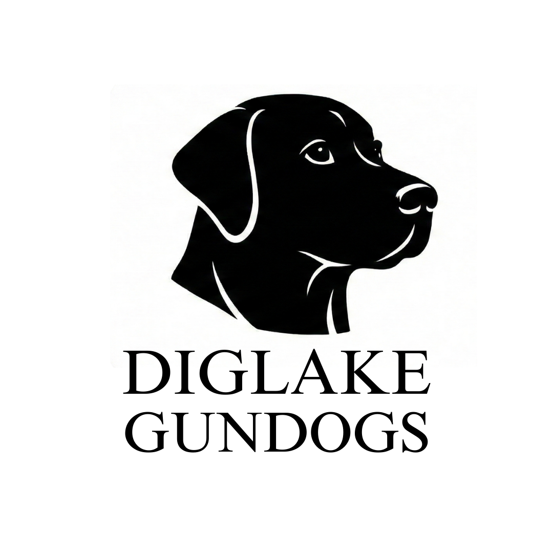 Diglake Gundogs