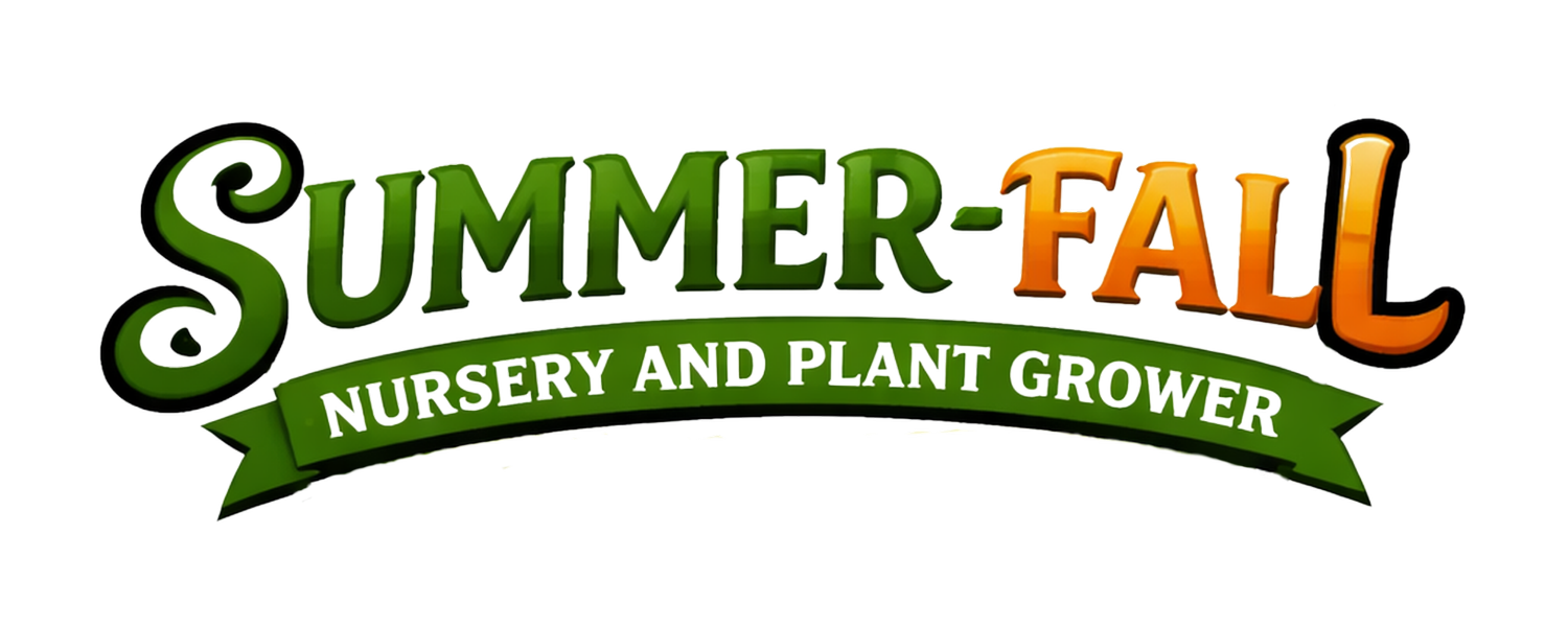 Summer Fall Nursery