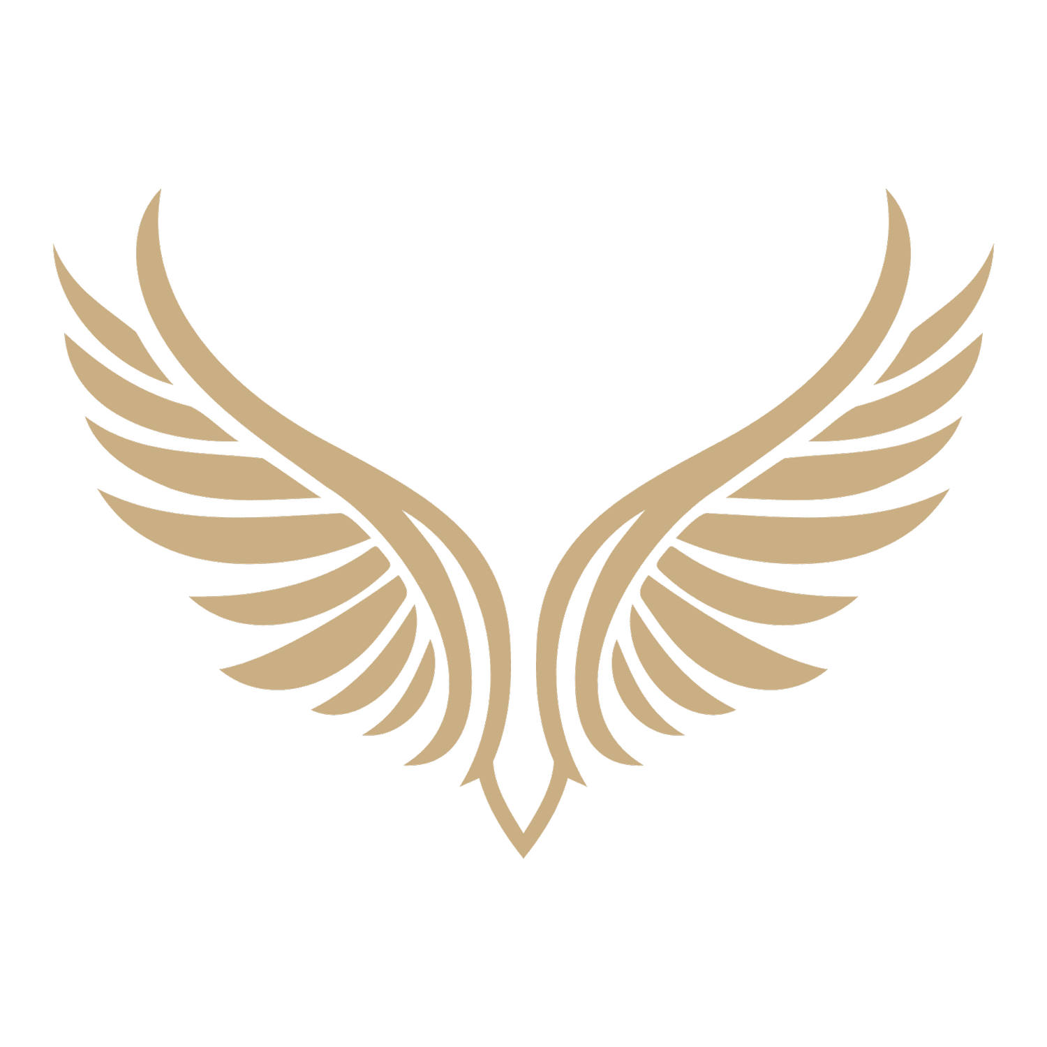 Parent Connection North GP Grad 2026