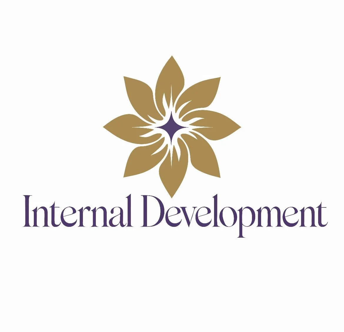 Internal Development