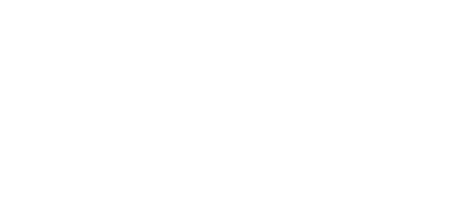 Carolina I.T.