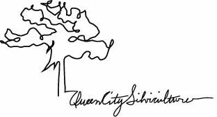 Queen City Silviculture, Tree Service Staunton Virginia