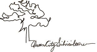 Queen City Silviculture, Tree Service Staunton Virginia