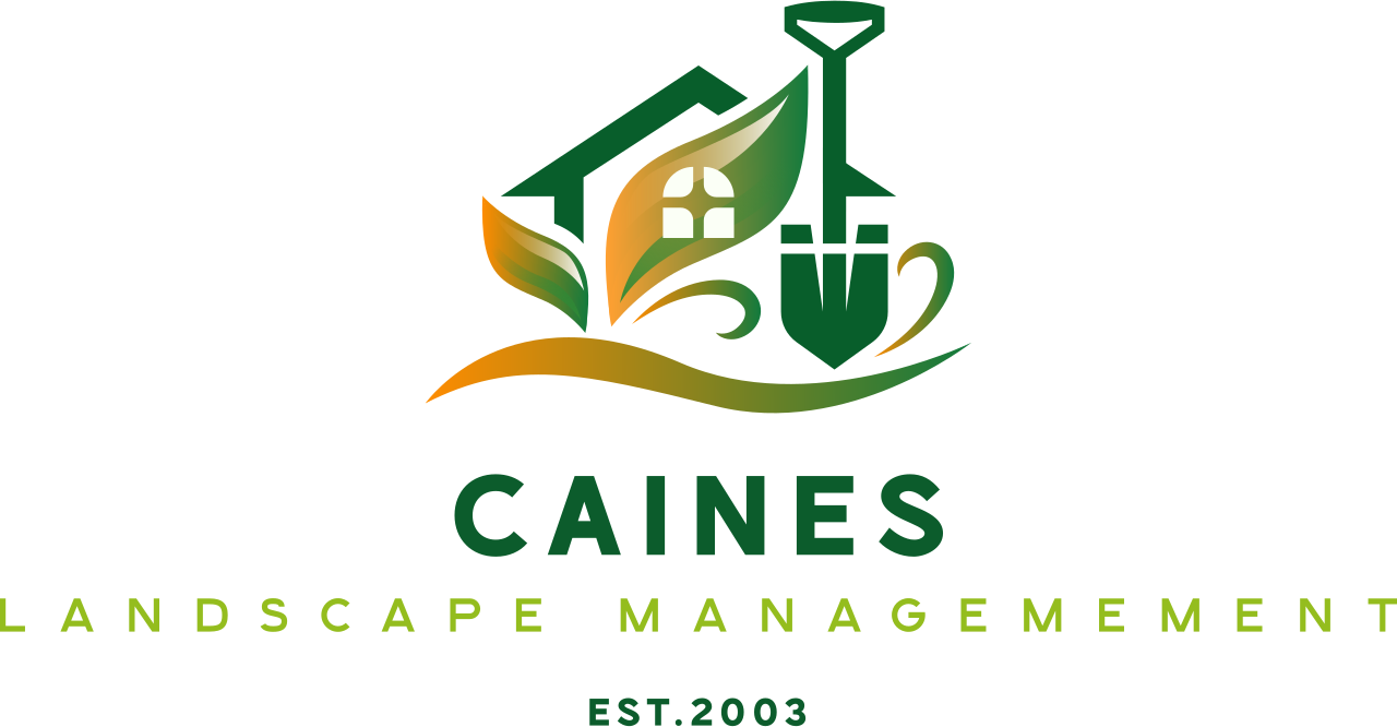 Caines Landscape