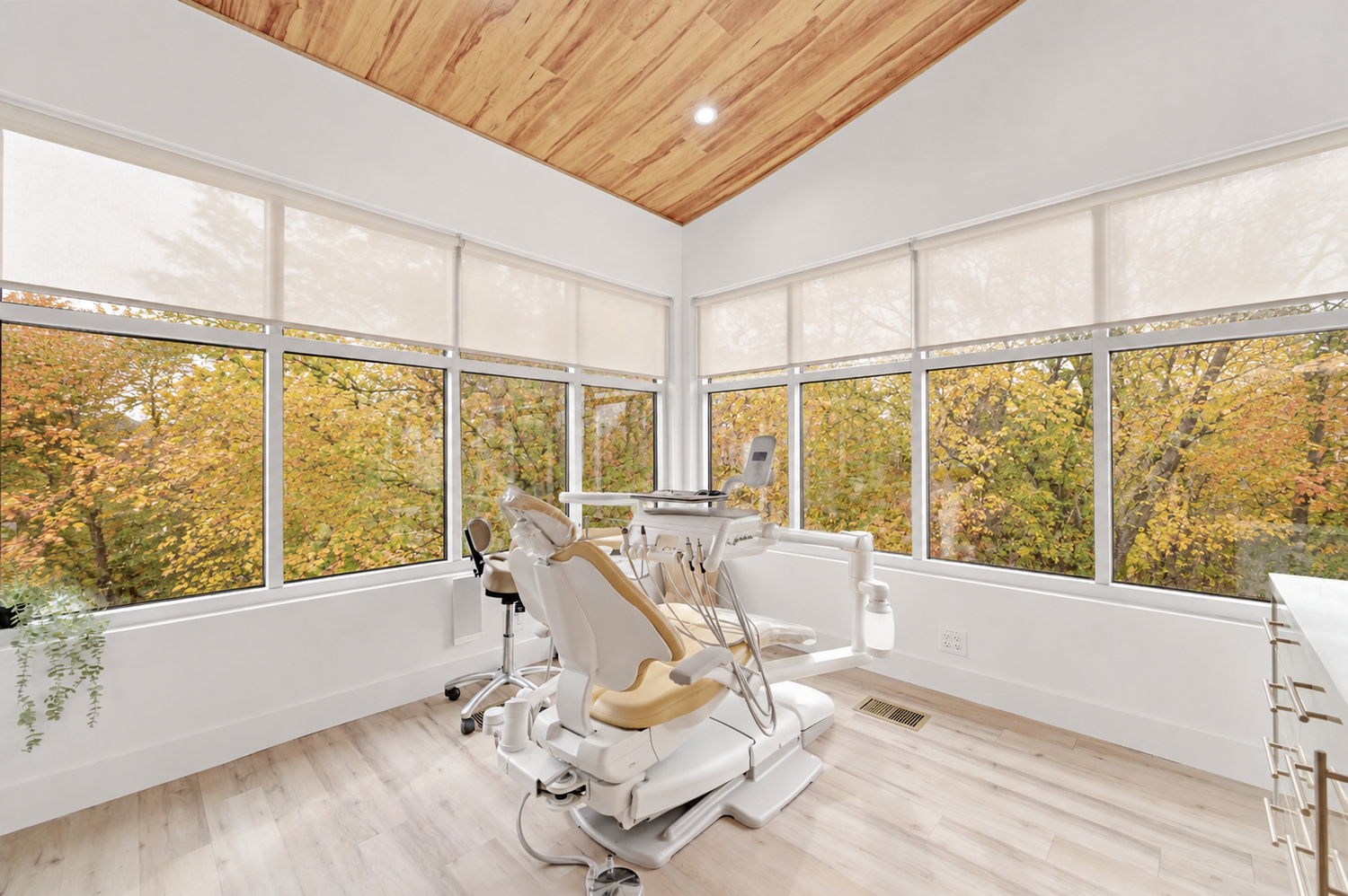 Lit Dental Esthetics & Implant Center