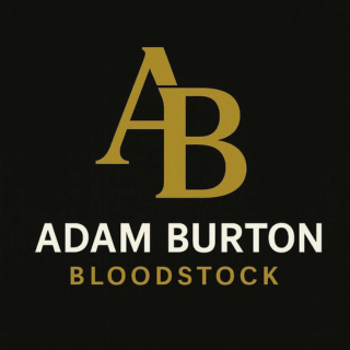 Adam Burton Bloodstock