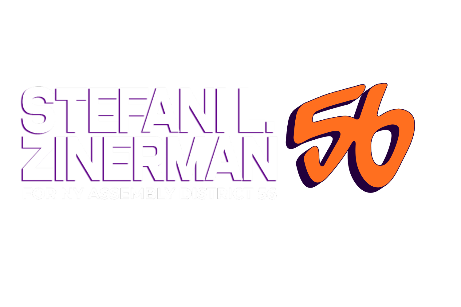 Zinerman For NY Assembly 56