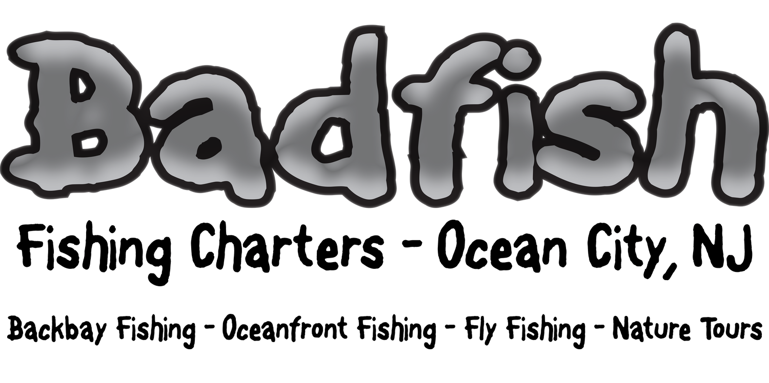 Badfish Fishing Charters - Ocean City , NJ