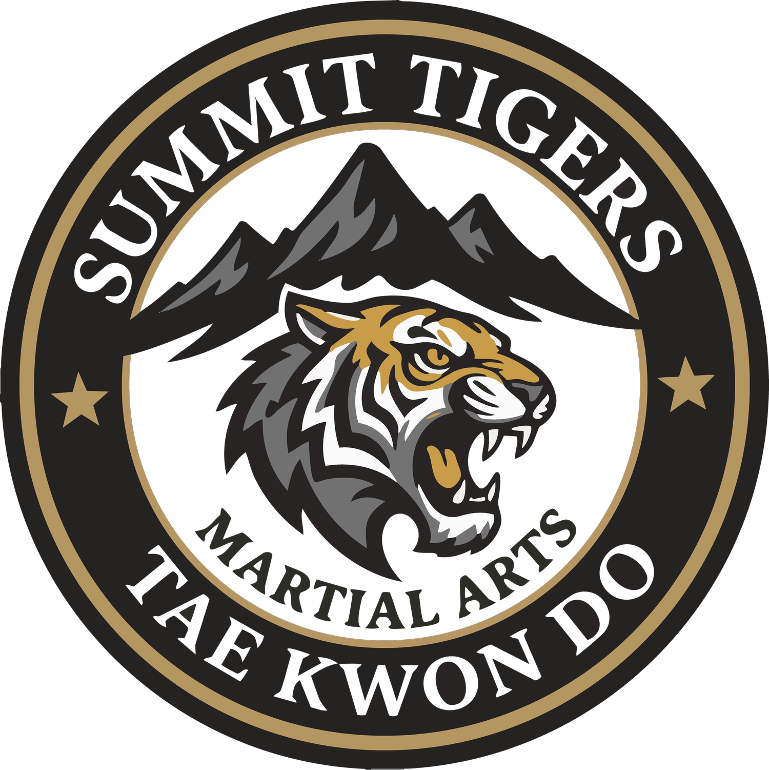 SUMMIT TIGERS MARTIAL ARTS