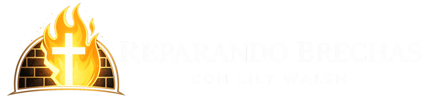 Reparando Brechas con Lily Walsh