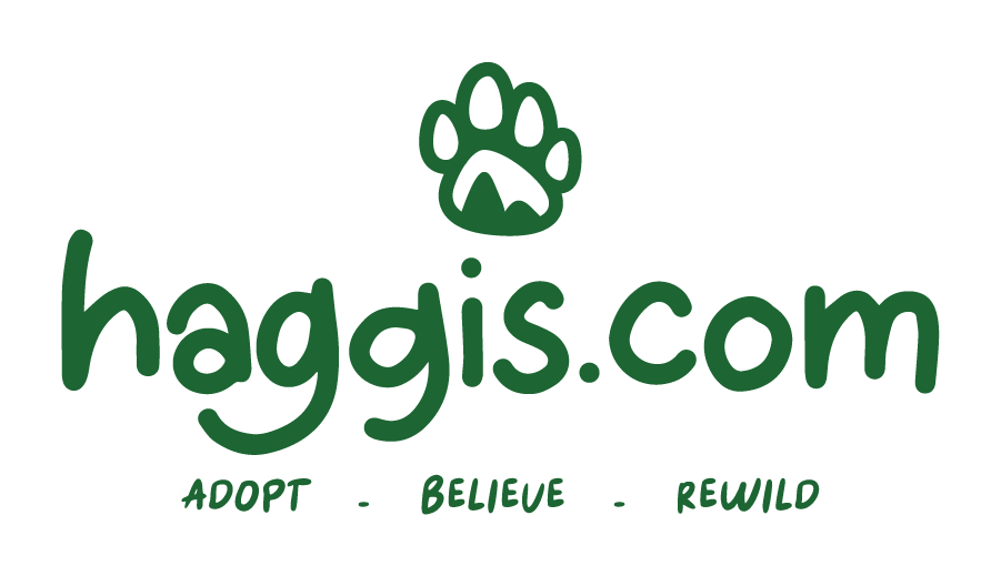 Haggis.com
