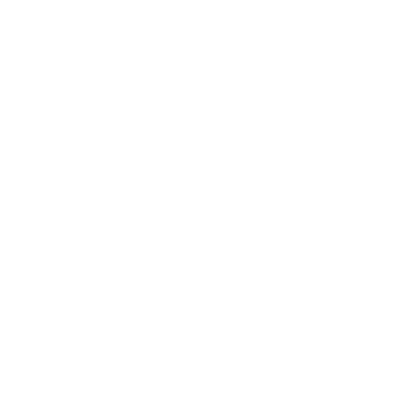 Guggenheim Video Production