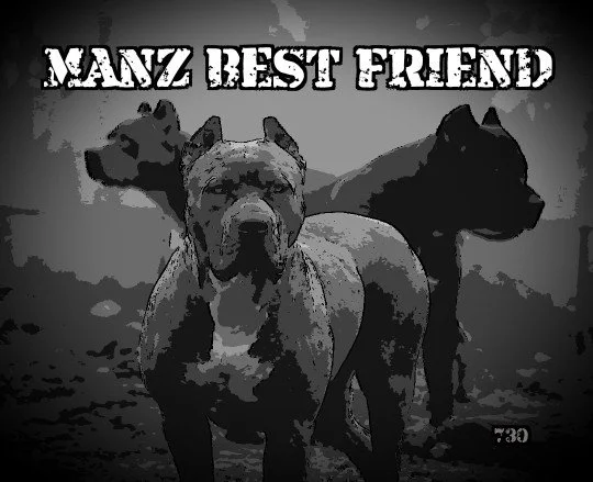 Manz Best Friend Entertainment        👉 =  to go to shop 