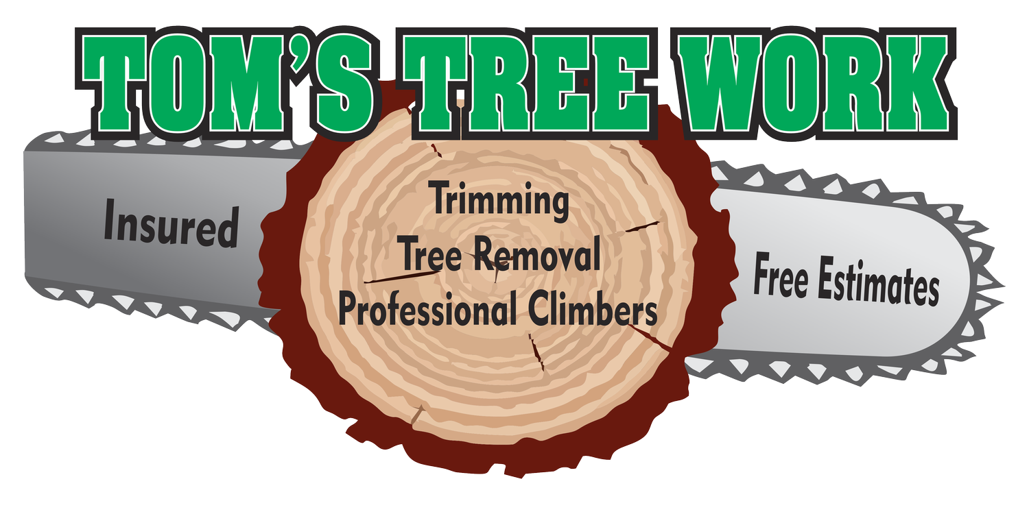 Tom's Tree Work
