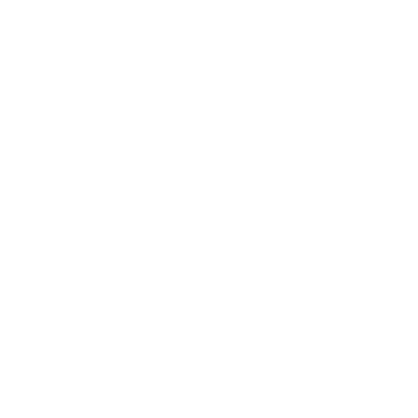 Soul Bowl