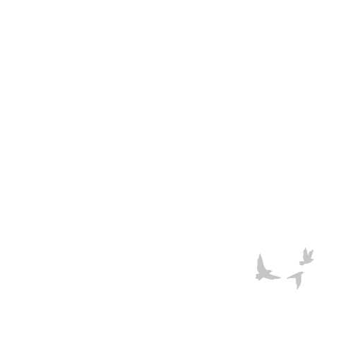 Johnny Darias Coaching